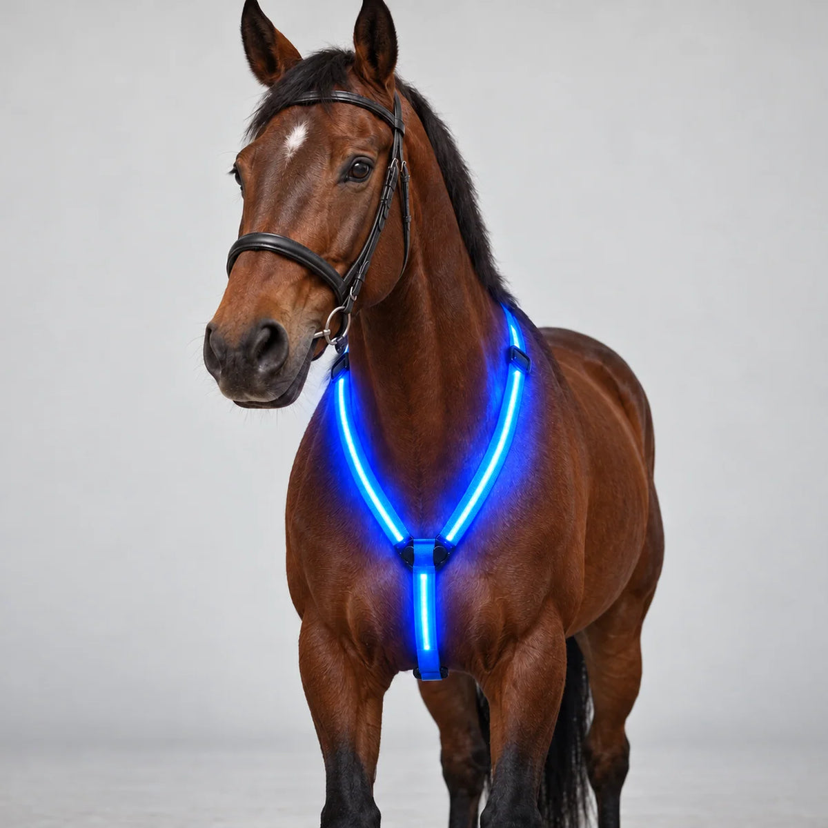 GlowRide Chest Strap